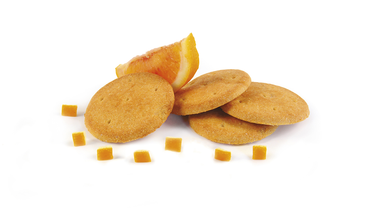 BIG ORANGE BISCUIT