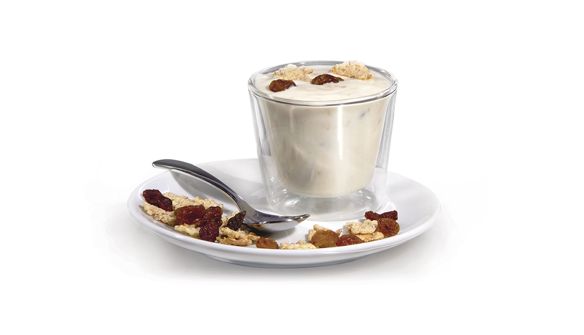 PLAIN YOGURT
