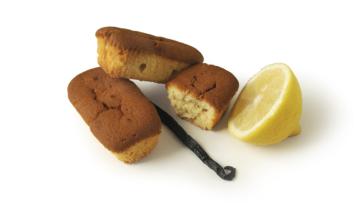 LEMON & VANILLE PLUMCAKE