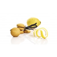 LEMON AND VANILLA BISCUIT DELIGHTS