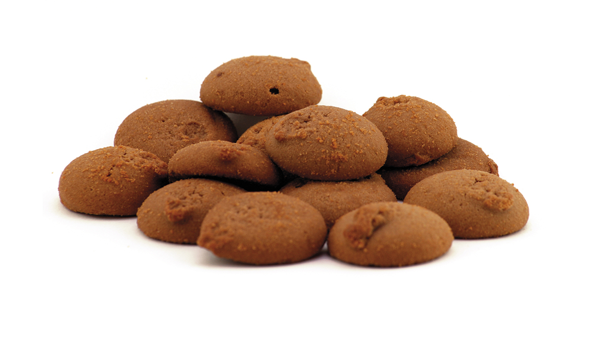 COCOA BISCUIT DELIGHTS 