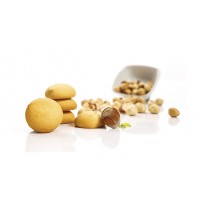 HAZELNUT BISCUIT DELIGHT