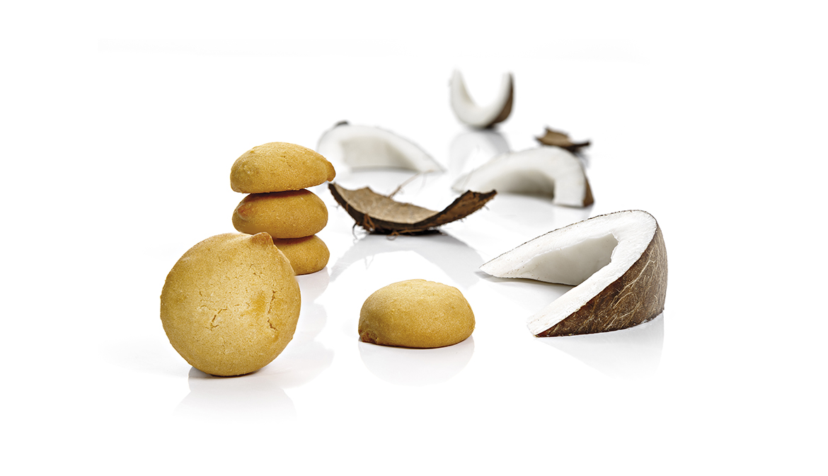 COCONUT BISCUIT DELIGHTS