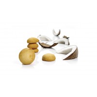 COCONUT BISCUIT DELIGHTS