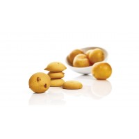 APRICOT BISCUIT DELIGHTS 