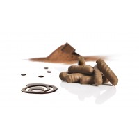 GLUTEN-FREE CARAMEL  STICK COVERED WITH CHOCOLATE