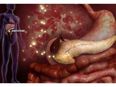 Type 1 Diabetes: What Are The Symptoms?